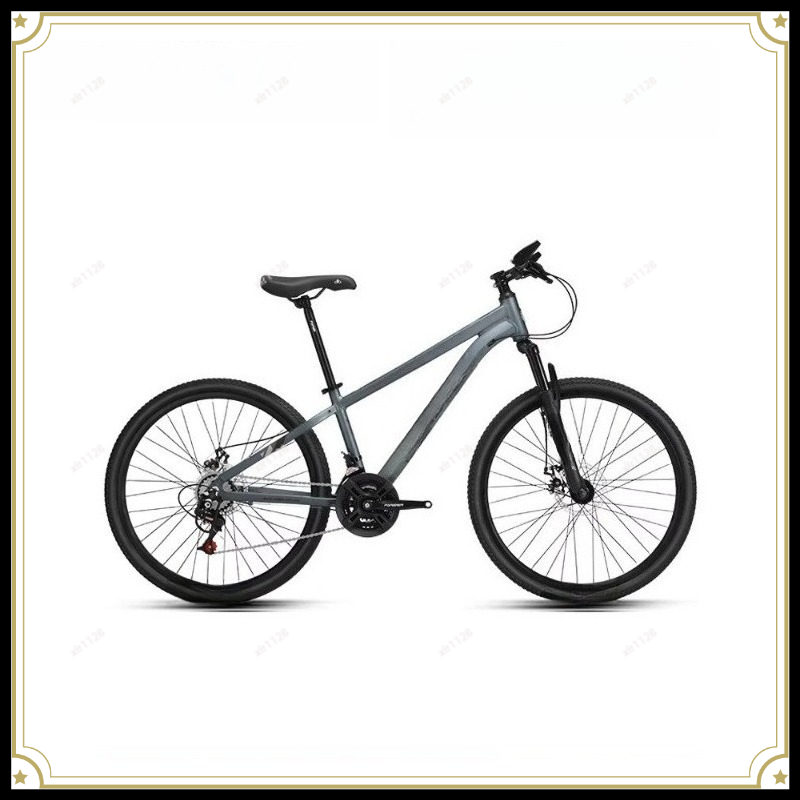 Mountain Bike Variable Speed B - Commuter Biking avis et prix