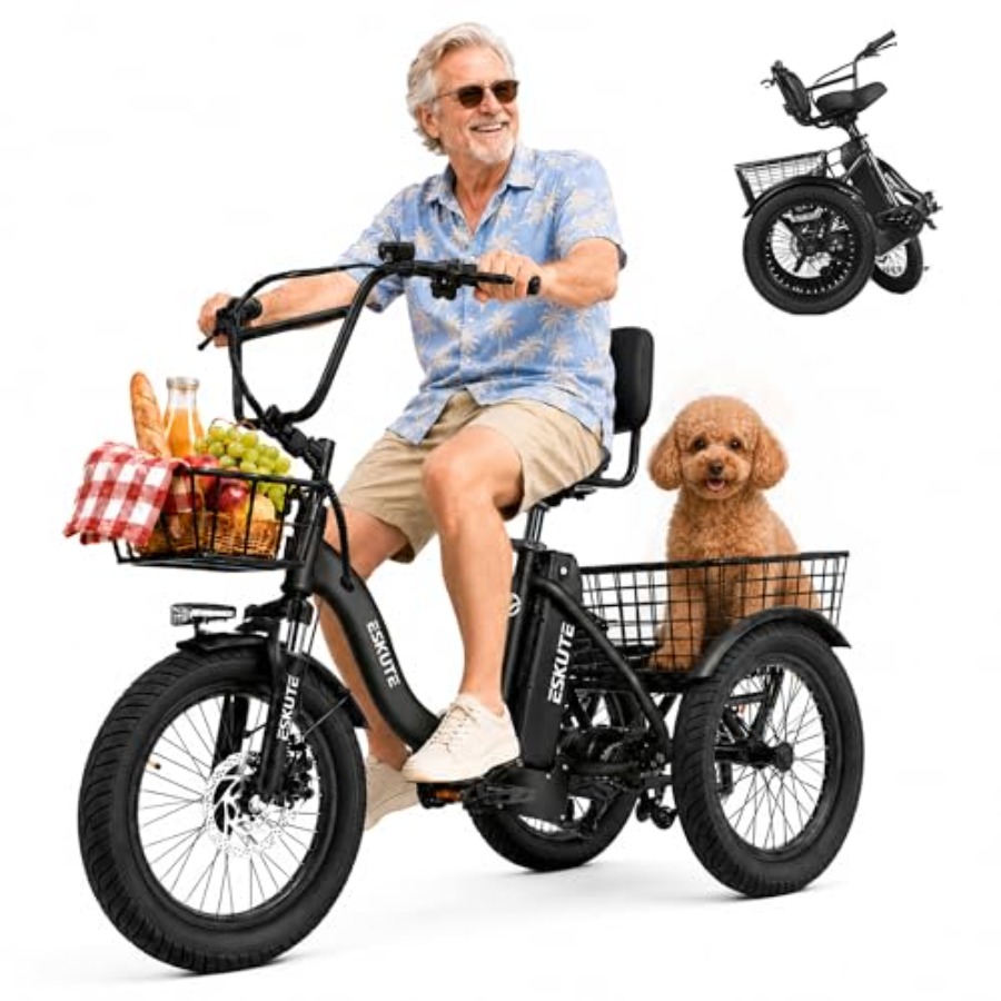 Adults electric trike bike for - Commuter Biking avis et prix