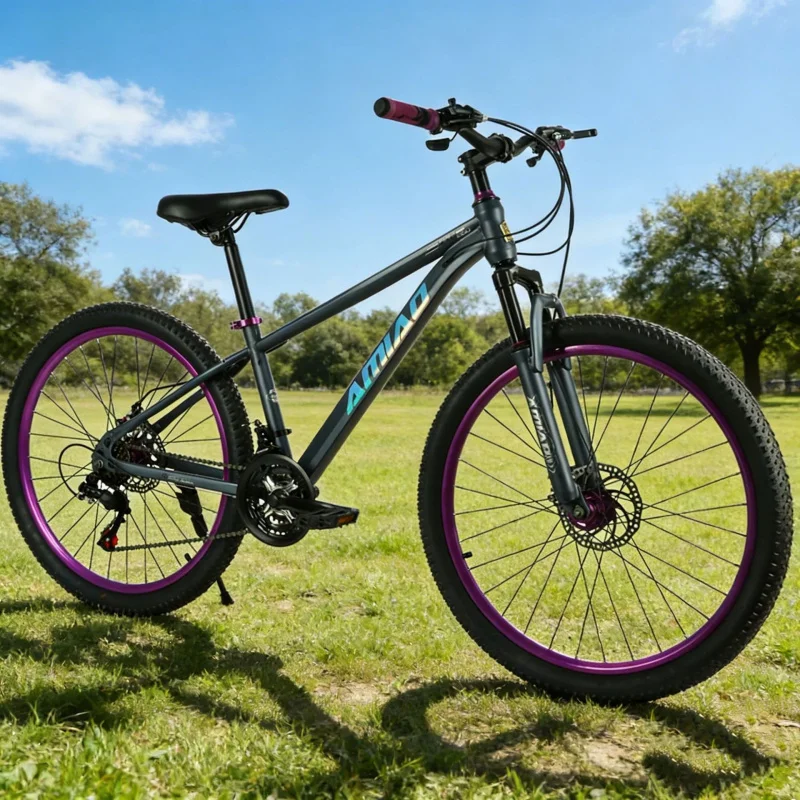 Multi-speed Mountain Bike Ligh - Cycling Commute Speed avis et prix