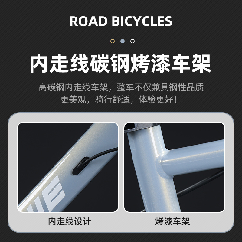 Variable Speed Road Bike Inter - Cycling Commute Speed avis et prix